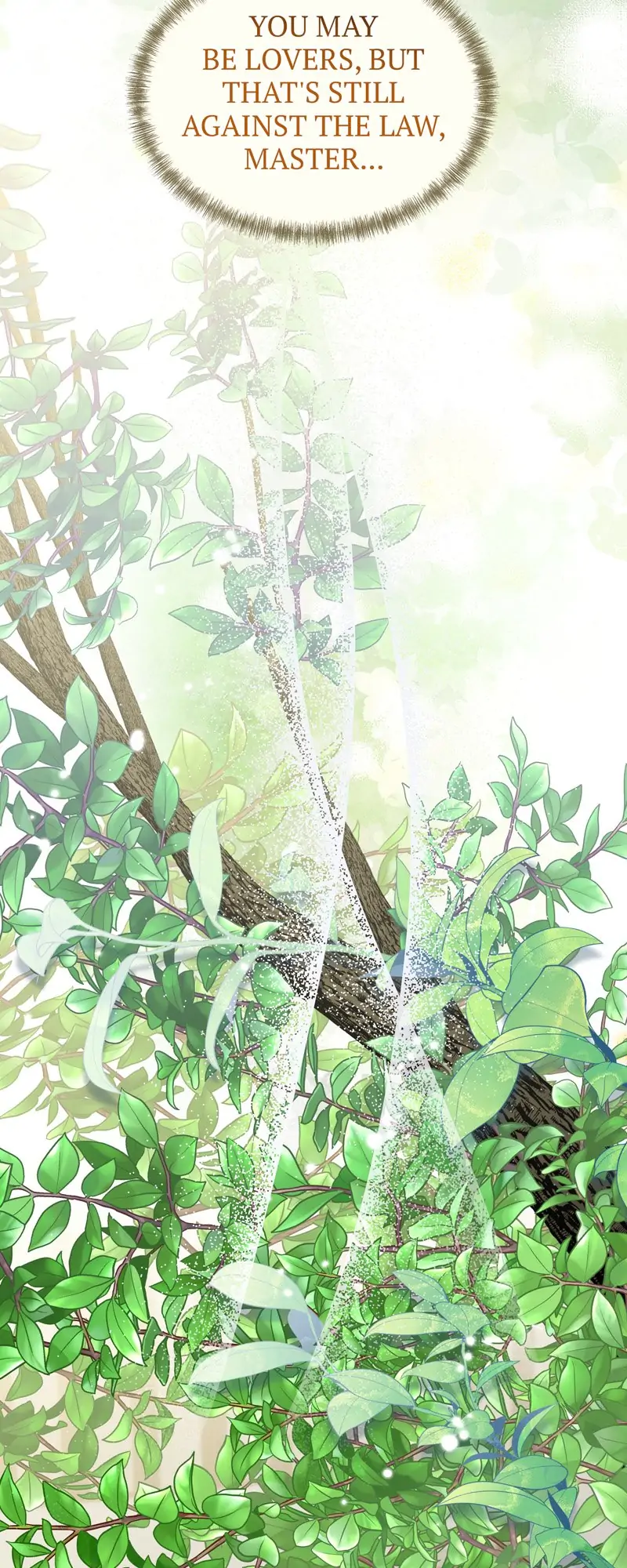 37850161 800 2000 224718