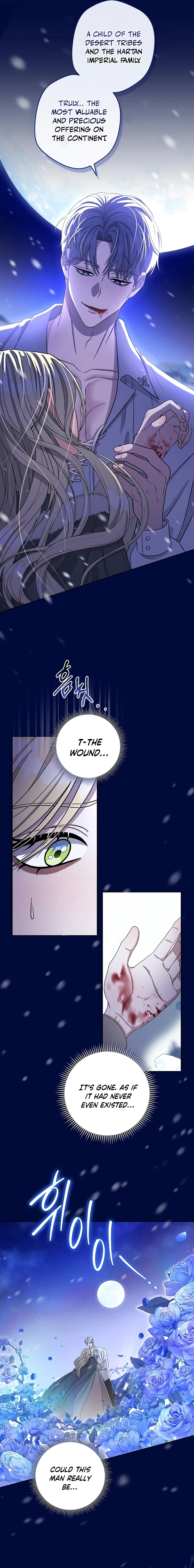 74889381 800 6460 554944