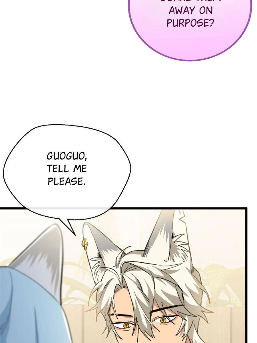 88291183 900 1200 74384